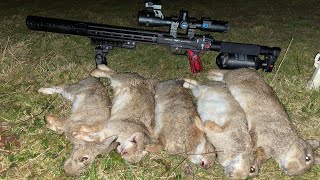 Edgun Leshiy 2 Quick Fire Rabbit Session [upl. by Skier101]