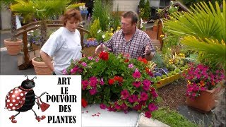 Tuto JardinageComment faire un modele de jardinières fleuries [upl. by Mun]