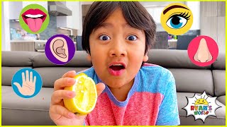 The Five Senses and more 1 hr kids educational learning video [upl. by Wrand]