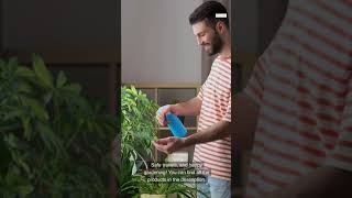 How to Water Indoor Plants While on Vacation [upl. by Burton]