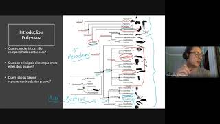 Introdução a Ecdysozoa [upl. by Pazice]