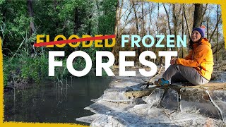 We flooded a forest and now it froze  project update [upl. by Waddington]