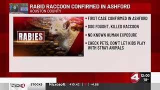 First case of rabies confirmed in Houston County [upl. by Rephotsirhc32]