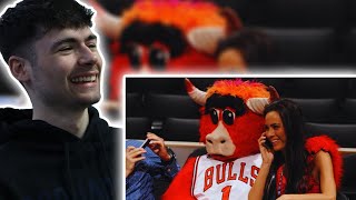 BRITS React to NBA MASCOTS BEING MENACES [upl. by Sirc]