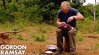 Gordon Ramsay Helps A Cambodian Tribe Butcher And Cook Buffalo  Gordons Great Escape [upl. by Annahtur761]