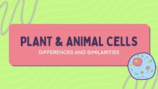 Plant vs Animal Cells Key Differences and Similarities You Need to Know 🌱🐾cellstructurebiology [upl. by Jules503]