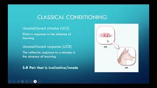 Chapter 6  The Basics of Classical Conditioning [upl. by Adnilev]