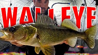 ice fishing for walleye  Learn This Rig [upl. by Ntsud946]