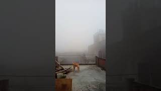 13 november weather in bulandshahar [upl. by Dolf]