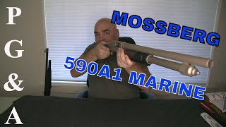 Mossberg 590A1 Marinecote First Look [upl. by Zoara]