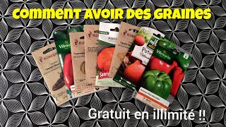 Comment avoir des GRAINES GRATUITES pour le POTAGER   BONUS comment vont mes SEMIS [upl. by Idel953]