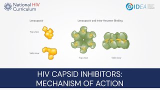 MiniLecture Series HIV Capsid Inhibitors Mechanism of Action [upl. by Anaeda]