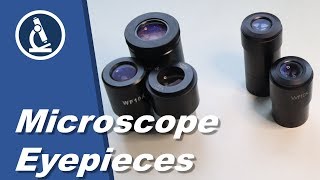 🔬 074  What are different types of MICROSCOPE EYEPIECES  Microscopy [upl. by Neetsirk]