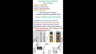 Stage of Bacterial Culture Methods and Purpose of Bacterial Growth Media geneticteacher [upl. by Cirone150]