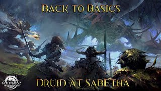 GW2 Back to Basics 003  Druid at Sabetha [upl. by Lazos862]