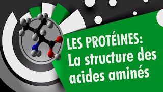 Structures des acides aminés  Les proteines 14 [upl. by Cotter]