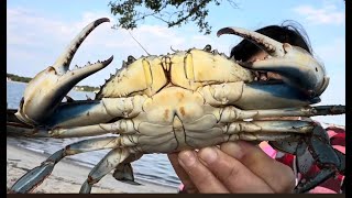 Crabbing New Jersey4th of July 2024 [upl. by Akinohs]