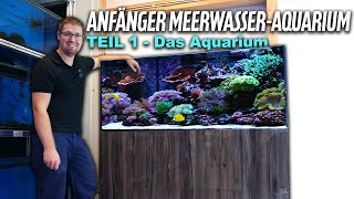 Anfänger MEERWASSERAQUARIUM Teil 1  PlanktonPlus Aquaristik [upl. by Claud]