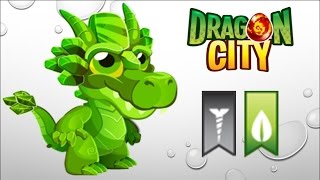 Dragon City  Getting Emerald Dragon 100 No Hack [upl. by Ahsinrad808]