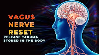 Vagus Nerve Reset Binaural Beats Release Trauma Stored In The Body Get Rid Of Stress amp Anxiety [upl. by Nwahsuq]