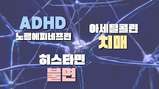 우리 뇌에 중요한 신경전달물질 노르에피네프린 히스타민 아세틸콜린 [upl. by Delanos]