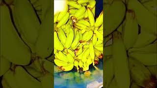 quotEasy Way to Ripen Bananas at Homequotshortsviraltrending [upl. by Atteroc]