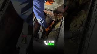 Can you do this job like me🤮 drain plumbing draincleaner draincleaning uncloggingdrains [upl. by Ayenet]