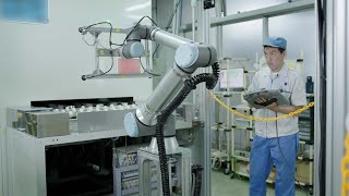 UR Cobots Help Matsunami Glass Achieve a 50 Increase in Production [upl. by Ynatsed]