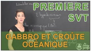 Gabbro et croûte océanique  SVT  1ère  Les Bons Profs [upl. by Retrac]