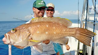 Deep Sea Fishing in Alabama Deep Water Groupers and Snappers [upl. by Waynant923]