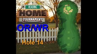 H14M Golf Clash Heading Home 2024 Hole 14 Master FTP ORWR HIO [upl. by Adella]