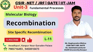 Site Specific Recombination  Bacteriophage Lambda  Molecular Biology  Lecture11 [upl. by Naeerb]