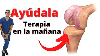 COMO ALIVIAR DOLOR DE RODILLA [upl. by Ailahtan]