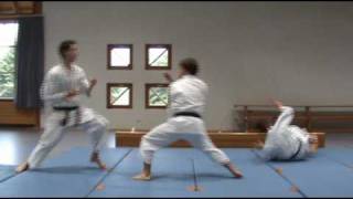 Heian Shodan Bunkai [upl. by Adriana784]