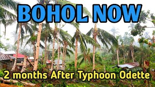 Danao Bohol now  2 months after typhoon Odette  Bangon Bohol [upl. by Sunda]