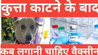 कुत्ता काटने के बाद क्या करना चाहिए  Anti Rabies Injection After Dog Bite [upl. by Noryahs]