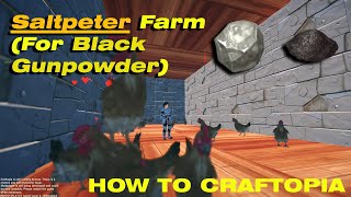 How to make a Saltpeter Farm for black gunpowder HOW TO CRAFTOPIA [upl. by Winchell]