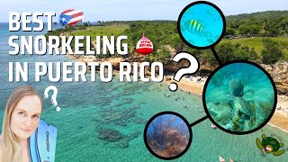 Amazing Beaches In Puerto Rico You Have To Visit  Best Snorkeling In Puerto Rico [upl. by Odrude553]