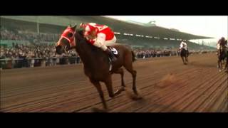 Equibase Horse Racing Commercial [upl. by Ecinuahs753]