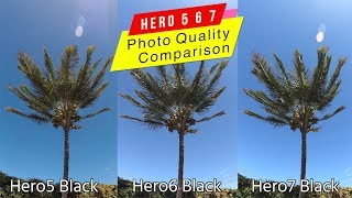 GoPro Hero7 Hero6 Hero5 Black Photo Quality Comparison  GoPro Tip 624  MicBergsma [upl. by Cornia]