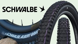 Schwalbe Albert Radial First Look [upl. by Faust]