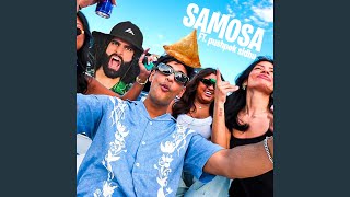 Samosa Song 2 [upl. by Akisej]