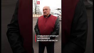 Лукашенко нет порядка нет дисциплины нет ответственности Жуть лукашенко политика новости [upl. by Sauers]