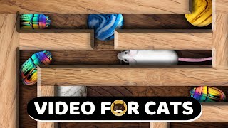 CAT GAMES  Maze Video for Cats  Mice Bugs Strings Marbles  CAT TV  1 Hour [upl. by Berghoff]