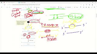 DNA Damage and Repair  Molecular Biology  Biochemistry  First aid lecturesLec11 drjamilectures [upl. by Em]