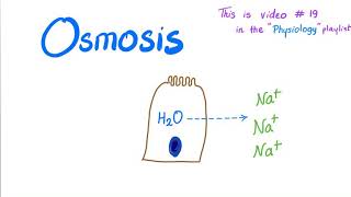 Osmosis  Physiology [upl. by Ernald325]