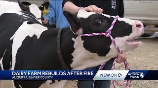 Brunton Dairy farm rebuilding after October fire [upl. by Jeffery]