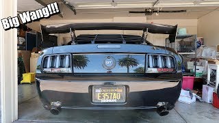 Cammed Mustang GT Gets A Big Wing [upl. by Asiul]