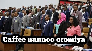 ODU Hatatama PMNO Obbo Lammaa Magarsaa Tokkummaa fi Nageenya July 102018 [upl. by Ydissak]