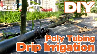 DIY Drip Irrigation  Highly Efficient Garden Irrigation System  Garden Irrigation [upl. by Ivz]